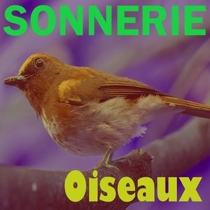 Sonnerie oiseaux