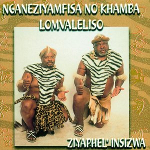 Ziyaphel' Insizwa