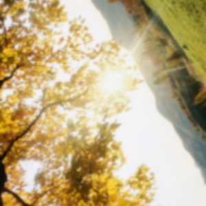 3amPics - Single