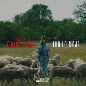 Ludilo Moje