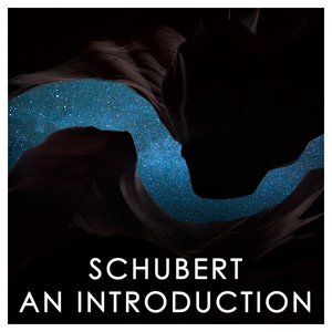 Schubert: An Introduction