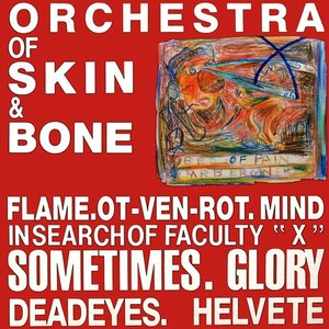 Orchestra of Skin & Bone