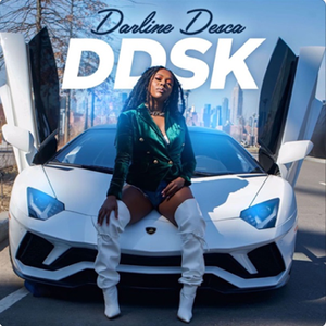 Artwork for DDSK