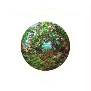 John Zorn & Gnostic Trio 的头像