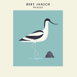 Avocet (40th Anniversary Edition)