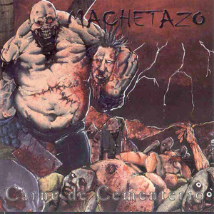 El Enjambre Asesino cover