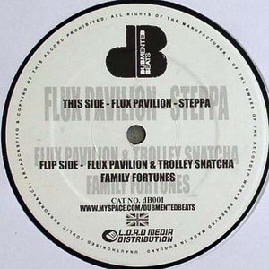 Family Fortunes / Steppa