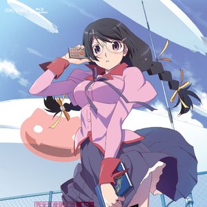 「perfect slumbers」&「猫物語(黒)」劇伴音楽集