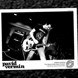 Pavid Vermin 的头像