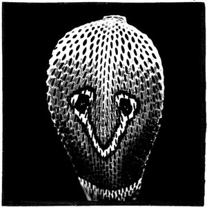 Sounds of the Indian Snake Charmer Vol. 2