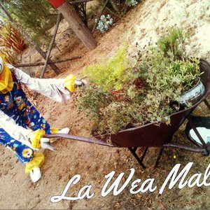 La Weá Mala