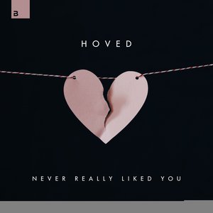 Never Really Liked You - Single