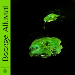 Bocage Alluvial