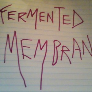 Avatar för Fermented Membrane