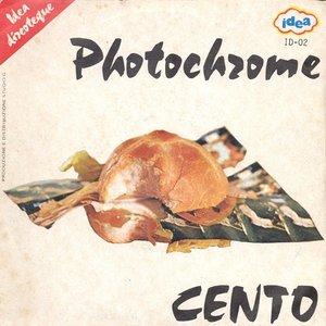 cento 的头像