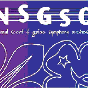 NSGSO 的头像