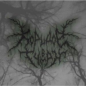 Koridor v Tuman 的头像