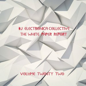 DJ Electronica Collective: The White Paper, Vol. 6