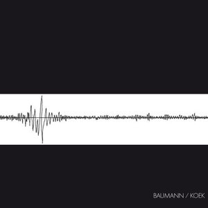 “BAUMANN KOEK”的封面