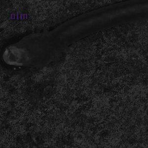 Grimm Blind Dwellers?