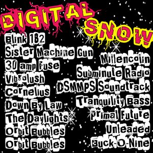 Digital Snow (Music Motion Picture Show)