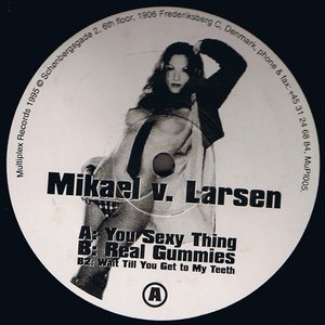 Mikael V. Larsen 的头像