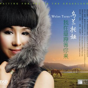 我在草原等你来