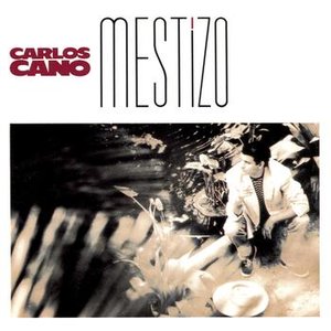 Mestizo