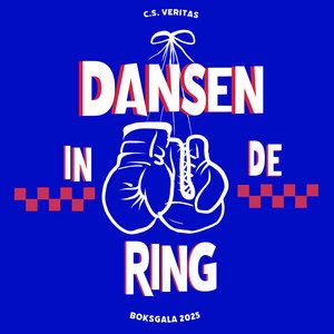 Dansen In De Ring (feat. Floris Munters, Suzanne Kleijwegt & Wies Langeveld) - Single