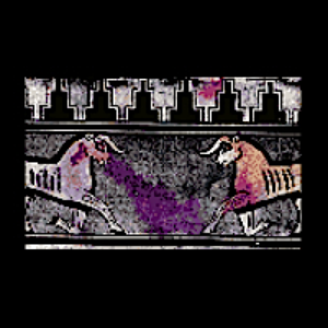 caravan cover