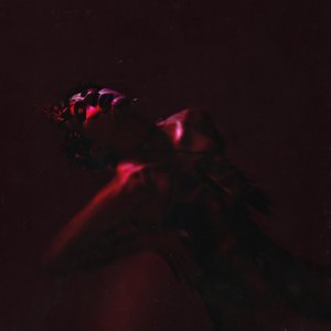 INNUENDO (Remixes)