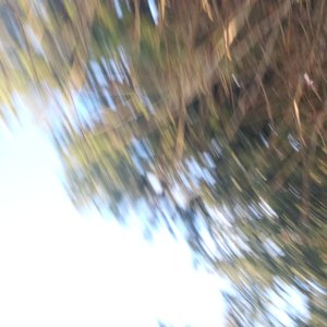 Car Sofa 的头像