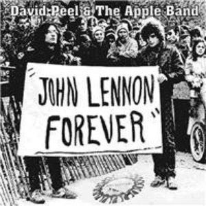 Image for 'David Peel & The Apple Band'