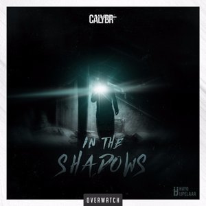 In The Shadows