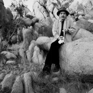Captain Beefheart & The Mothers 的头像