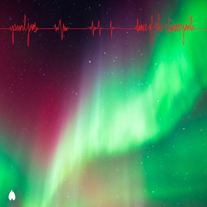 Pearl Jam - USUG11904401 - Zortam Music