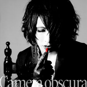 Camera obscura cover