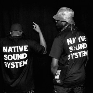 Native Sound System 的头像