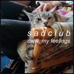 Oww, My Feelings [Explicit]