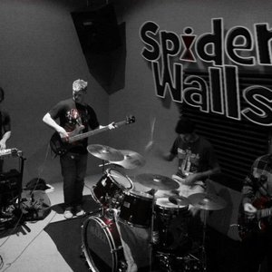 Spider Walls 的头像