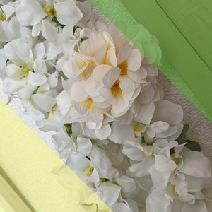 テープのり 的头像