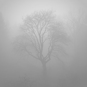 Fragile