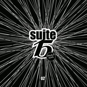 Suite15 & Subinstinct Records Compilation, Vol. 2