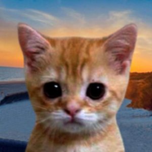 Avatar for Hermetic Kitten ASMR