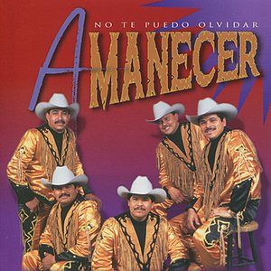 No Te Puedo Olvidar