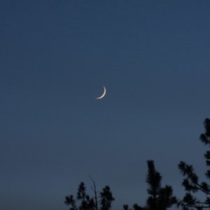 One Lonely Night