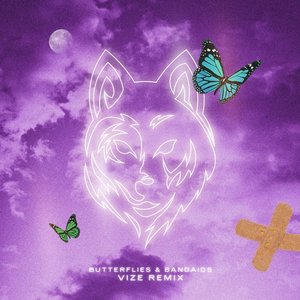 Butterflies & Bandaids (VIZE Remix) - Single