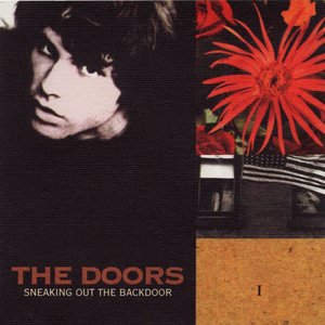 Sneaking Out the Backdoor