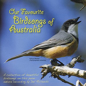 Our Favorite Birdsongs of Australia