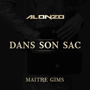 Lil Kalash - Dans Son Sac - Zortam Music